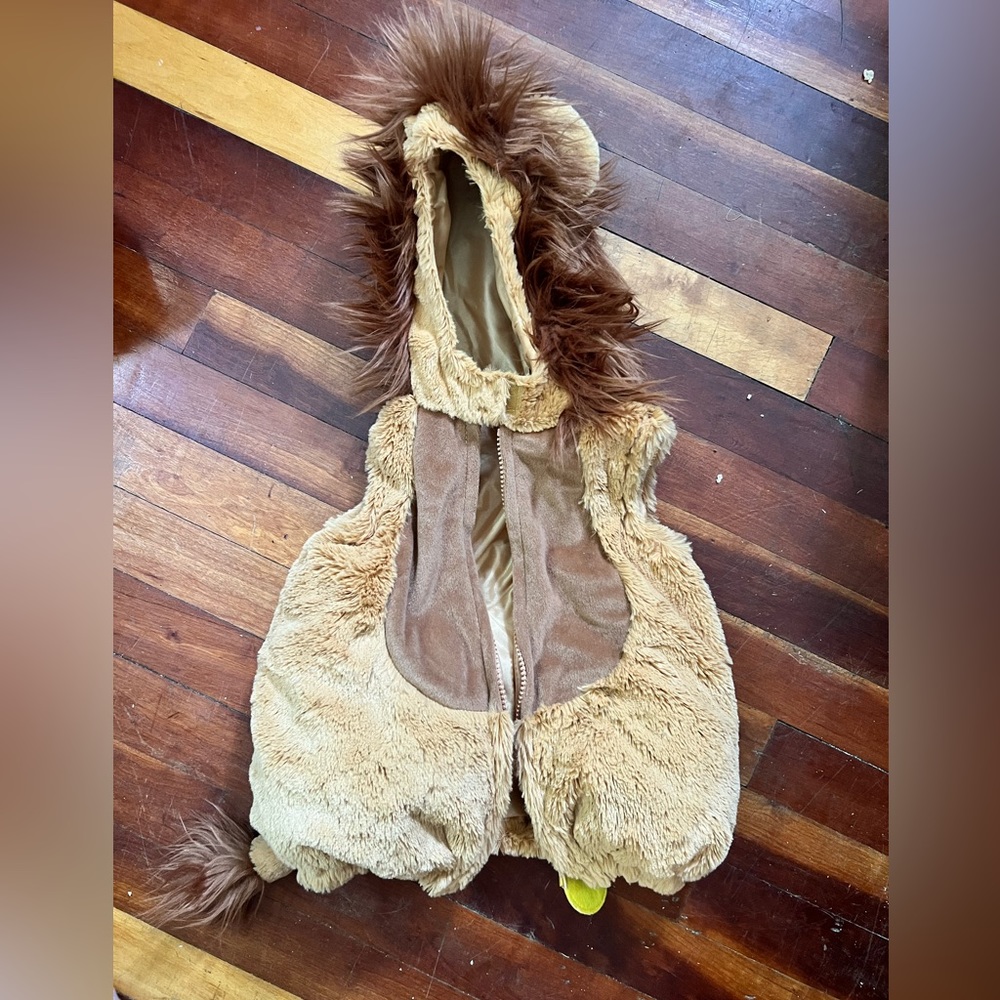 Lion Costume